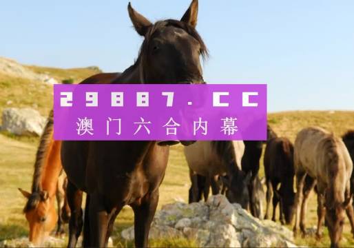 2025新澳门天天精准免费大全与澳门管家婆100%精准详细解答、解释与落实